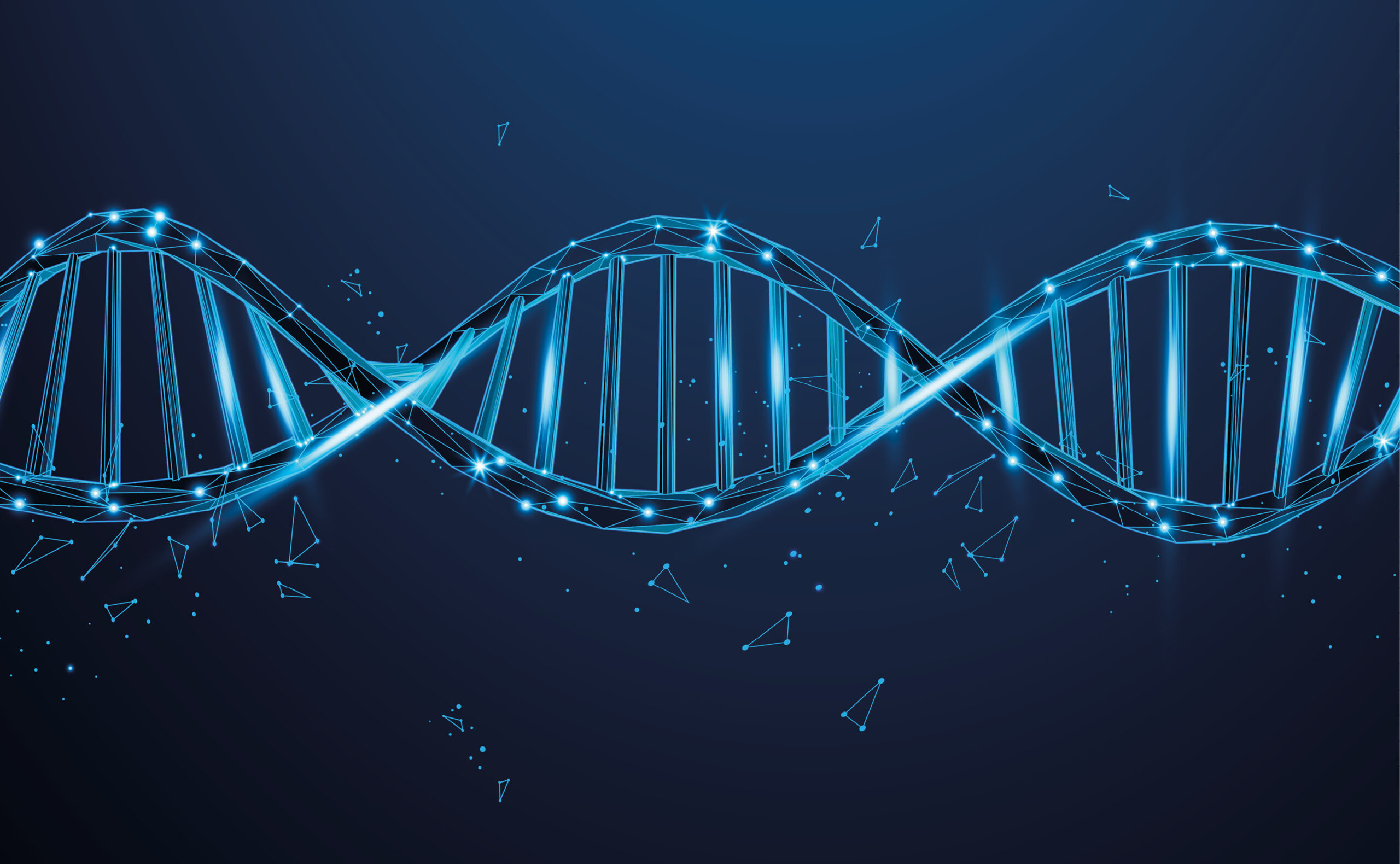 Was in der rhion.digital DNA steckt? Der Bauplan für Ihr Gewerbe-Geschäft