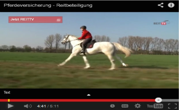 Wie eine Versicherung dank Social Media Reichweite erzeugt