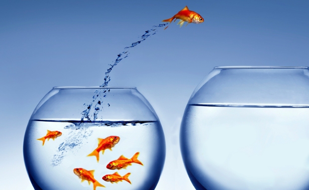 Chance für Finanzberater