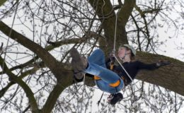 Praxisorientierte Einkommenssicherung für Ihre Kunden