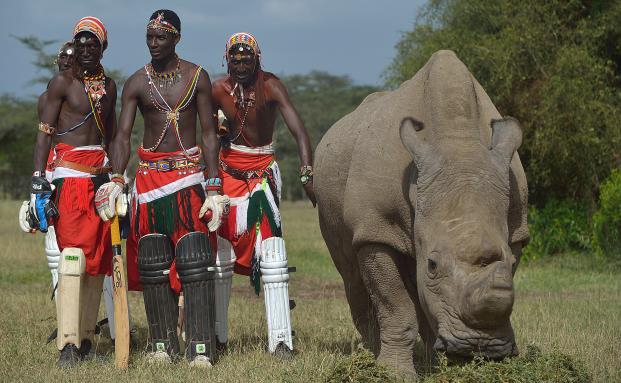 Über die Lücken der Reiserücktrittsversicherung