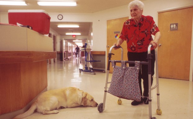 Das verändert sich aus Versicherungssicht bei Pflegebedürftigkeit