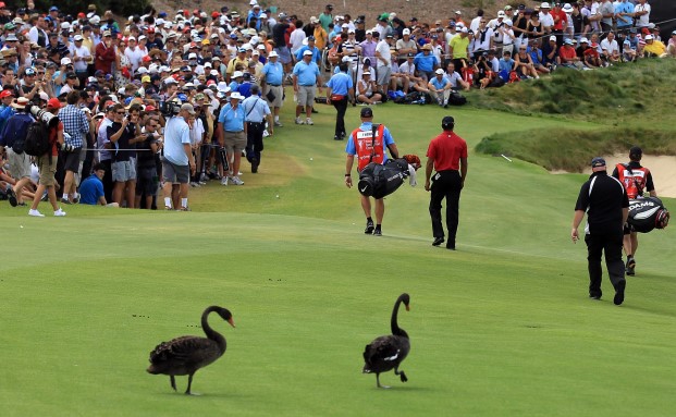 Deshalb sollten Kunden ihre alten Lebensversicherungen nicht kündigen