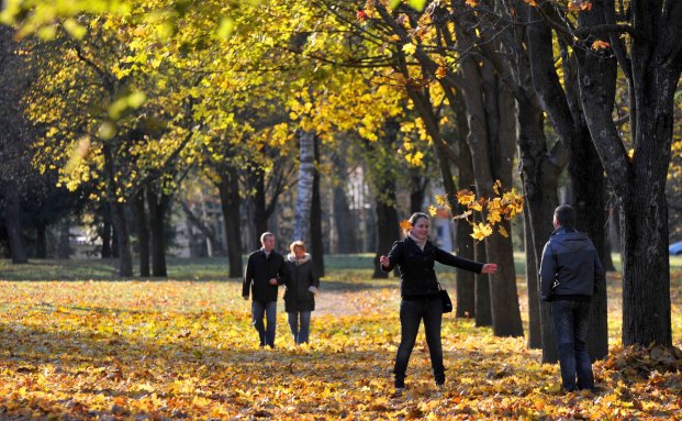 Worauf Sie im Herbst achten müssen
