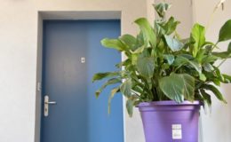 Wann Mieter für einen verlorenen Wohnungsschlüssel haften müssen