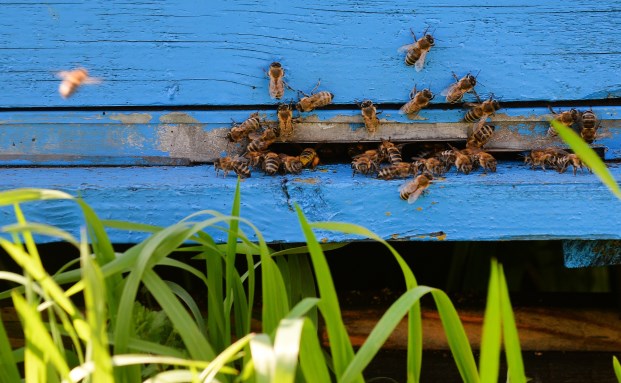 Das leisten Haus- und Wohnungsschutzbriefe
