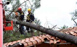 Mit einem guten Vertrag den Elementen trotzen