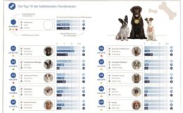 Das sind die beliebtesten Hunderassen