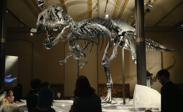 8 Millionen Euro für einen Dino