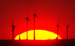 Insurtech setzt auf nachhaltige Geldanlagen