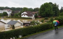 Verbraucherschützer fordern Versicherungspflicht