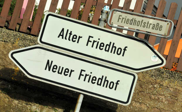 Gärtner finden Tausende Euro auf einem Friedhof
