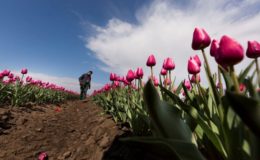 Wie Berater neue Kunden gewinnen und bestehende halten können