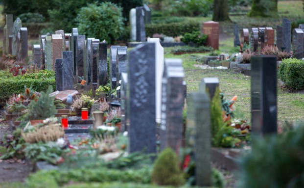 Diese Risikolebensversicherungen schneiden gut ab