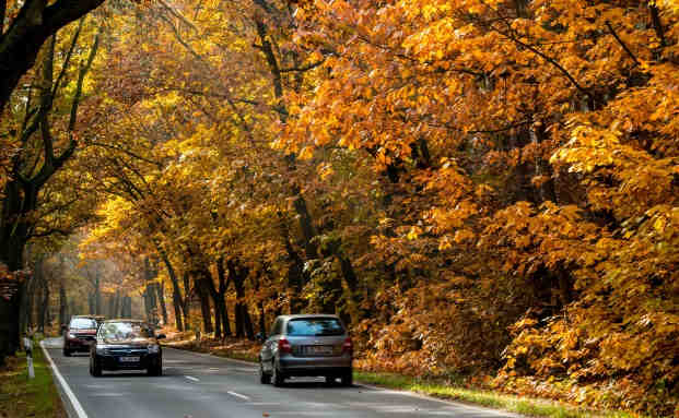 Typische Irrtümer in der Kfz-Versicherung