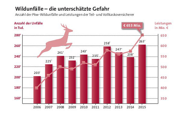 Zahl der Wildunfälle erreicht neue Rekordhöhe