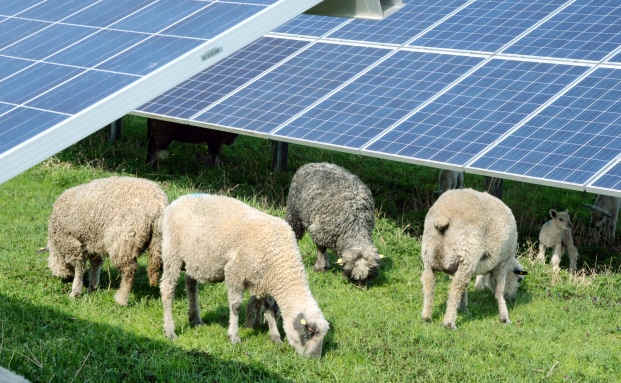 Beratung verändert die Einstellung zu nachhaltigen Investments stark