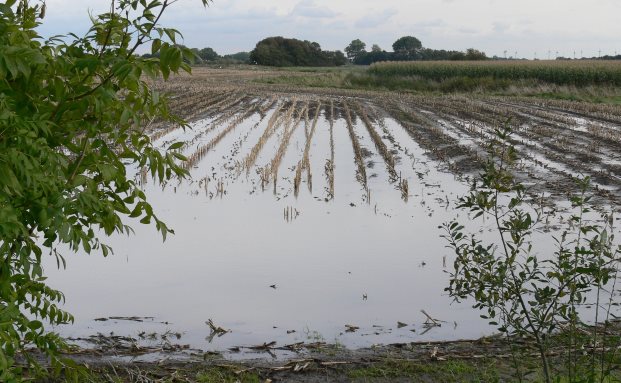 Elementarschadenabsicherung für Landwirte wird wichtiger