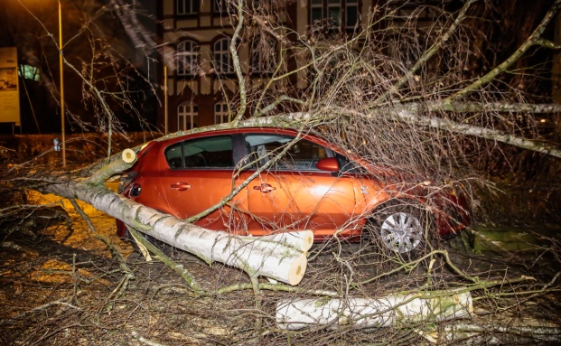 100 Millionen Euro versicherte Wetterschäden