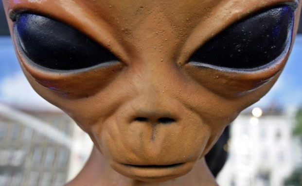 Die fünf skurrilsten Versicherungen