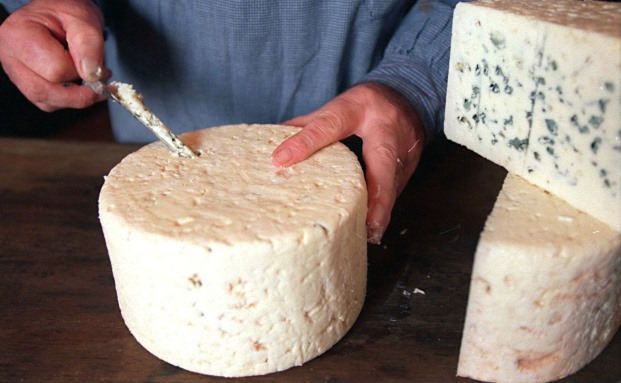 BdV lobt Versicherungskäse 2017 aus