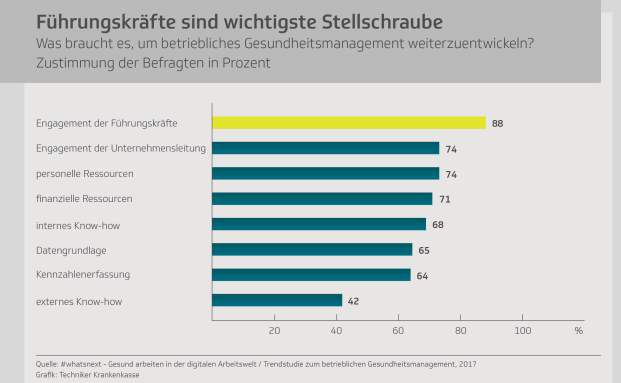 Wille des Chefs wichtiger als Budget