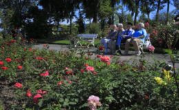 Riestern kann Altersarmut verhindern