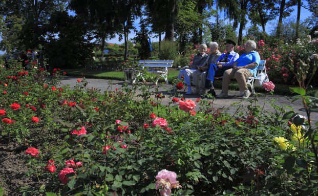 Riestern kann Altersarmut verhindern