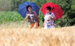 Ein Drittel der Frauen sorgt nicht fürs Alter vor