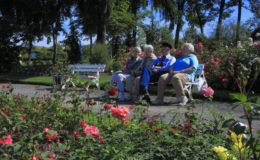 Wie Versicherer eine lebenslange Rente berechnen