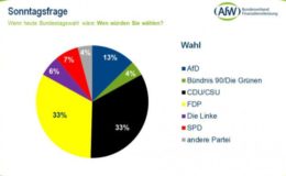 Jeder dritte Vermittler würde FDP wählen