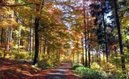 So gelingt umweltfreundliches Riestern