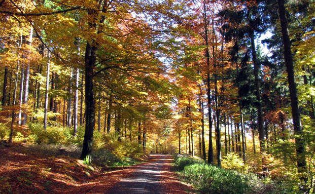 So gelingt umweltfreundliches Riestern