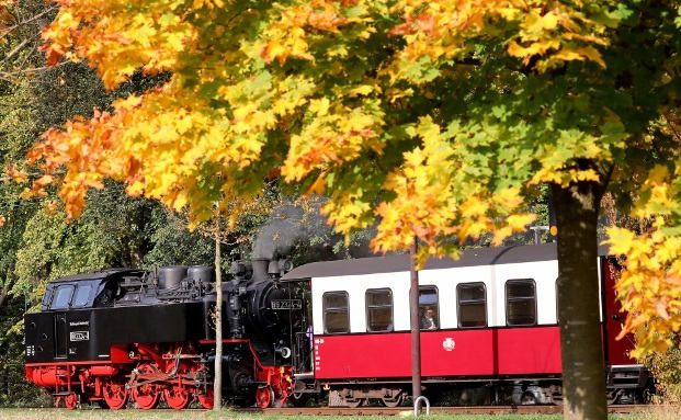 Die Vier-Punkte-Checkliste für Makler