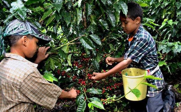 Rentenversicherungen wenig nachhaltig