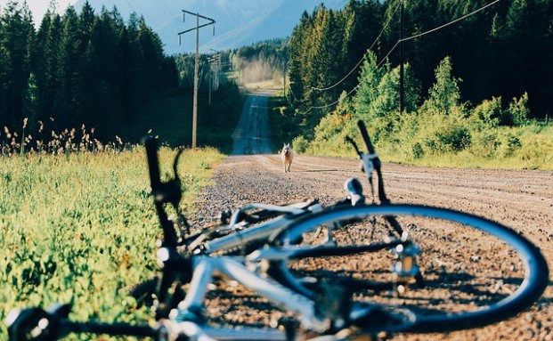 Radfahrer mitverantwortlich für Sturz
