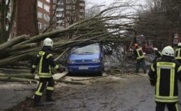 Sturm „Friederike“ kostet Versicherer wohl 500 Millionen Euro