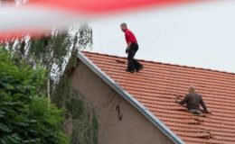 Diese Versicherer leisten am zuverlässigsten