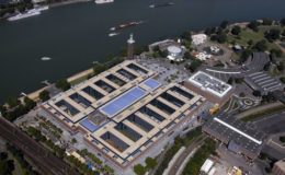 Diesen Versicherern halten die meisten Kunden die Treue