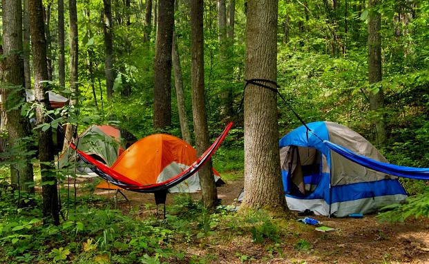 Welche Rechte und Pflichten es gibt