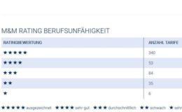 So leistungsfähig sind Berufsunfähigkeitsversicherungen