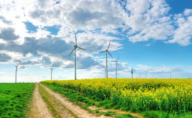 Ökologisch, sozial, ethisch – und renditestark