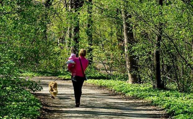 Mütterrente II würde 24 Prozent der heutigen Rentnerinnen helfen