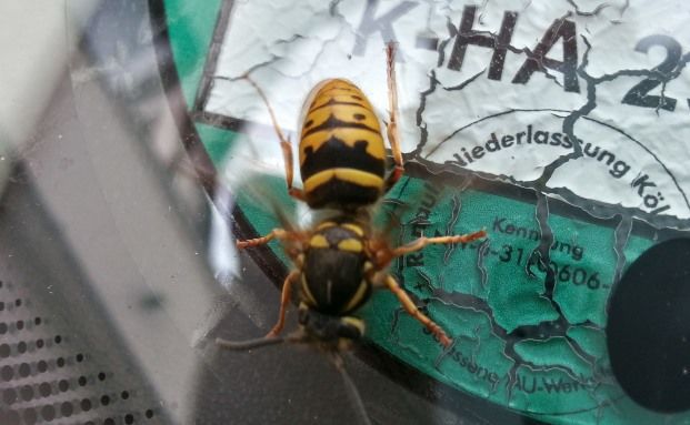 Zahlt die Versicherung nach einem Unfall?