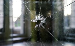 Diese Privathaftpflichtversicherer liegen in der Kundengunst vorn