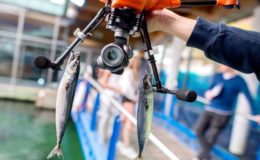Maßgeschneiderter Angriff statt Massenabfertigung