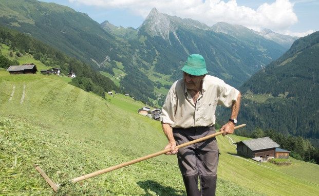 Mehr als jeder vierte Rentner arbeitet auch im Ruhestand