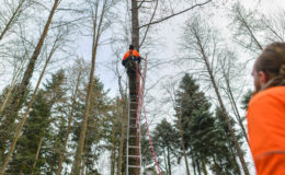 Huk-Coburg muss BU-Rente weiter zahlen