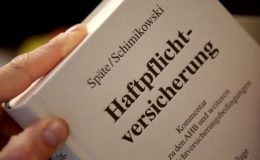 So sind die Deutschen versichert