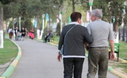 Basisrente – wie sie funktioniert und wer profitiert